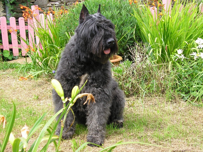 Ukraine de la Fontaine au Maitre
